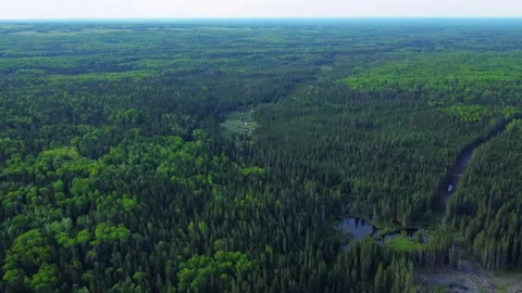 Drone revealing shot of Alberta forest landscape in summertime Stock Footage 340202412