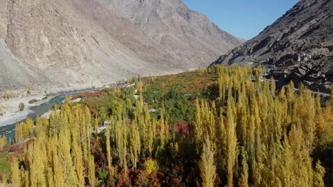 Drone reveals the untold story of fall in the Himalayas. Stock Footage 310782860