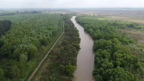 Drone reveals winding river in forested Parana Delta, Argentina Vídeos de archivo 308700842