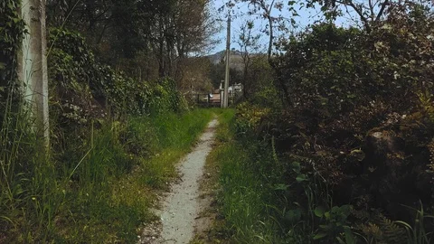 DRONE REVERSE ROAD PATH Stock Footage 90134218
