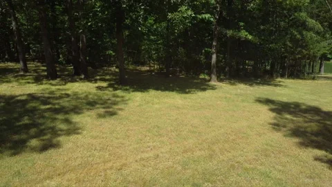 Drone reversing away from dense forest into tree grove with dark shadows Stockbeeldmateriaal 200981835