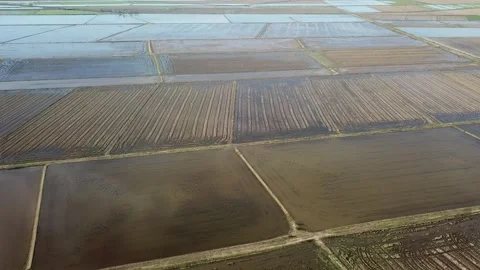 Drone rice fields in Extremadura, Spain Stock Footage 282464581