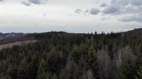Drone right Above Trees cool movement Video stock 176461568