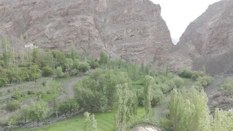 Drone Right to Left Over Lush Green Forest in Ladakh Mountain Scenery in the Vídeos de archivo 335744845