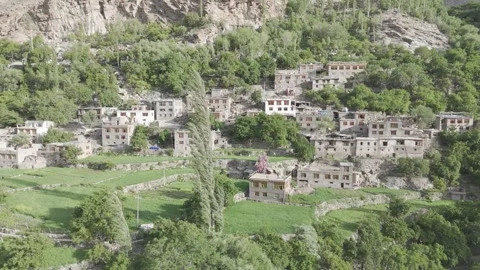 Drone Right to Left Over Lush Green Ladakh Village with Fields and Trees in the Vídeos de archivo 335750453