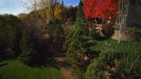 Drone rise over fall trees to reveal home Stock-Footage 105765922