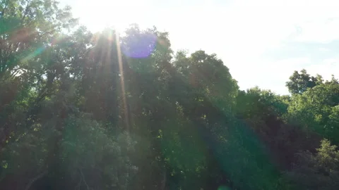 Drone Rise Over Forest Canopy with Sun Flare, Upstate New York 4K 動画素材 140630349