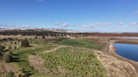 Drone Rise Over Young Tree Field and Water Basin Stock Footage 321397953