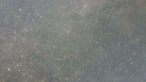 Drone rise from river close to high above Stock Footage 310574021