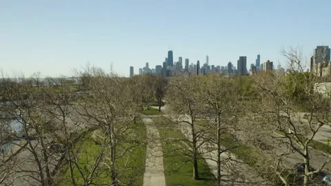 Drone Rises Above Empty Tree Branches to Reveal Chicago Skyline Video stock 130404003