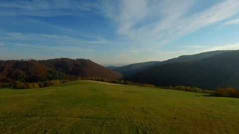 The drone rises above the meadow. Stock Footage 106955012