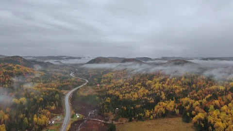 A drone rises above a winding road in a mixed forest near the mountains in fog Video stock 120653059