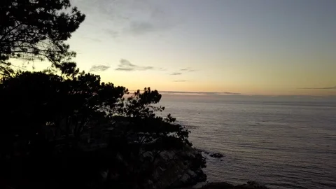 Drone rises from behind tree to reveal La Jolla, bathed in post sunset colors Stock Footage 95865140