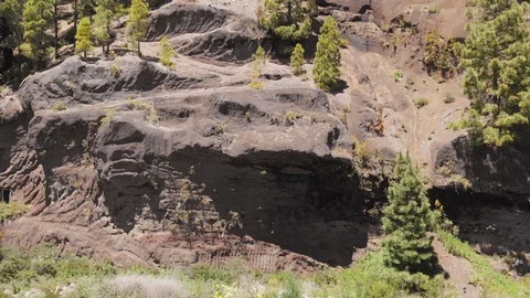 Drone rises up - a centuries-old rock cut and coniferous forest Stock Footage 110894516
