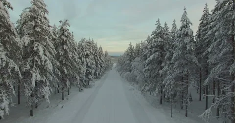 Drone rises from a frozen path across an endless white forest Stock Footage 61172826
