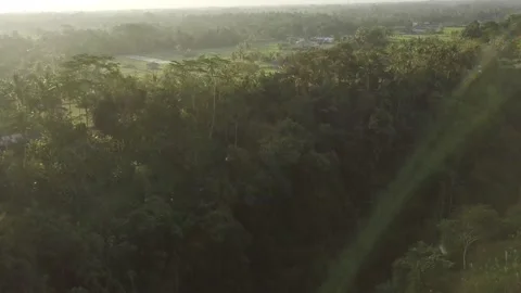 The drone rises over the forest in Indonesia. Stock Footage 155987938