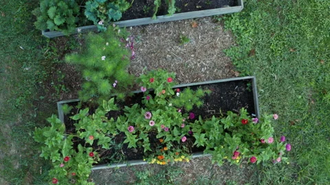 Drone Rises Over Garden Beds, Upstate New York Farm, Summer Video stock 140633035
