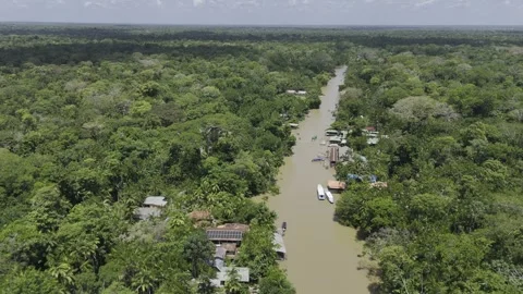 Drone rises up over river flowing through forest and follows river Video stock 284465509