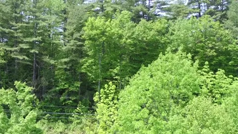 A Drone Rises Over Rolling Hills Along The Mohawk Trail Stock Footage 329770804