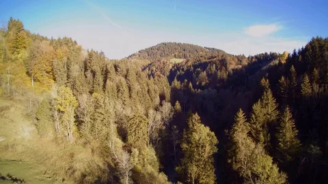 Drone rises over trees in front of mountain panorama Stock Footage 97807470
