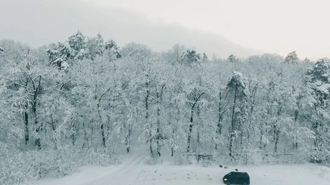 Drone Rises up Panorama of Winter Forest 動画素材 71895678