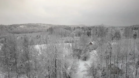 Drone rises slowly over trees in forsty low contrast winter country side Finland Stockbeeldmateriaal 46712732