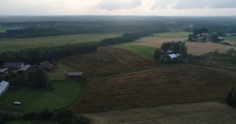Drone rising above fields of wheat and other plants. Aerial farm scene Stock Footage 79051707
