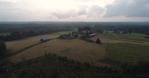 Drone rising above fields of wheat and other plants. Aerial farm scene Stock Footage 79051759