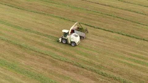 Drone rising above harvester loading trailer in field Stock Footage 333182892