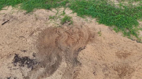 Drone Rising Above Sea Turtle Tracks on Montjoly Beach. Stock Footage 339069293