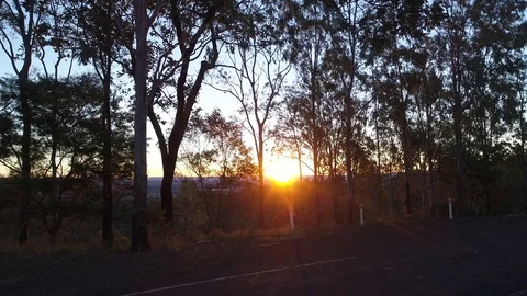 Drone Rising Above Trees with Sunset Revealing  Stock Footage 78235072