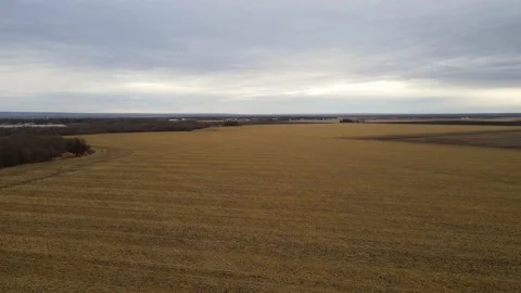 Drone rising and moving forwards over harvested farm field on a very flat land Stock Footage 220689580