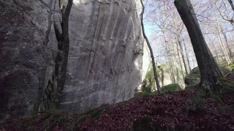 Drone Rising From Forest Floor Toward Massive Rock Cliff Stock Footage 327597393