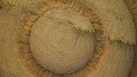 Drone rising up over a crop circle from the center. 스톡 동영상 123331019