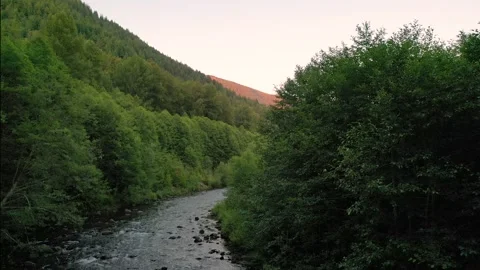 Drone Rising Over Forest Stream to Oregon Sunset 4K UHD Stock Footage 271153754