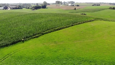 Drone rising over green fields Stock Footage 114383046
