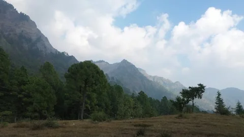 Drone Rising Over Pine Forest To Majestic Mountain Peaks With Clouds Video stock 343796347