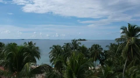 Drone rising over small Caribbean island. Drone rising behind palm trees. Video stock 228628800
