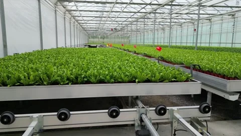 Drone - Rising shot Left to Right Shot of Planter Beds - Small Greenhouse Stock Footage 314227326