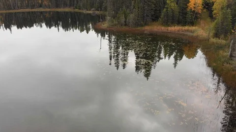 Drone rising slowly above a small lake to reveal a forest setting  Stock Footage 117866595