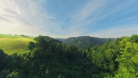 Drone Rising Through Donauleiten Forest Revealing Danube River and Ship Video stock 345011843
