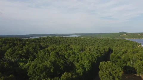 Drone rising through trees to show a lake at sunset Stockbeeldmateriaal 200981859
