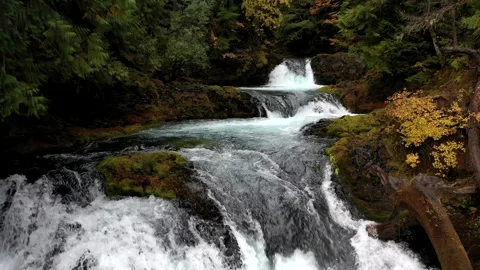 Drone River 7 Video stock 249846735