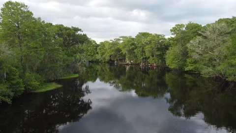 Drone river ascending view Video stock 195531814