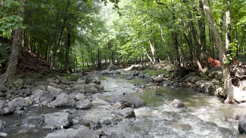 Drone in the river Vídeos de archivo 154868248