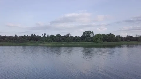 Drone with rivers and forest 2 Vídeos de archivo 96676758