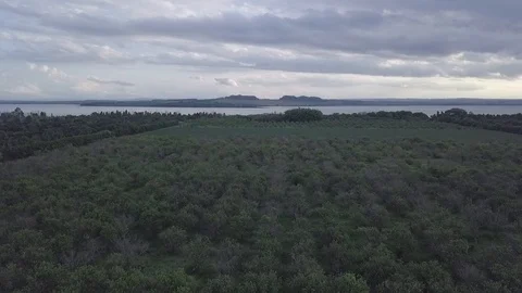 Drone with rivers and forest Stock Footage 96677384