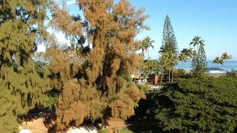 Drone Rockpile 2 Stock Footage 115376824