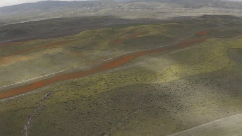 Drone Rolling Cloud Shadows over flowers Stock Footage 114298898