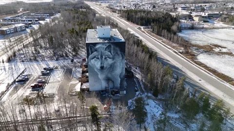 Drone Rotating Left Robert Bateman Wolf Sketch Mural Thompson Manitoba Winter Видео 331769845